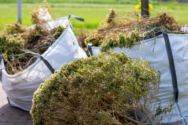 Best Dumpster Rental Services  in Cornelia, GA